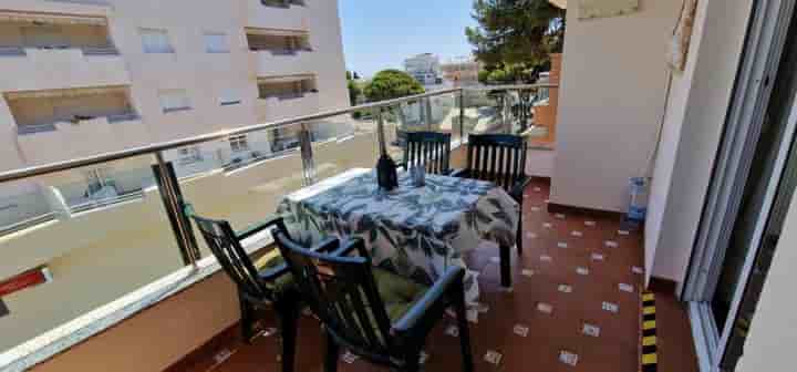 Appartement à louer à Solymar - Puerto Marina