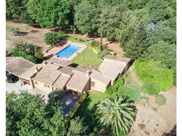 Maison à vendre à Santa Cristina de Aro