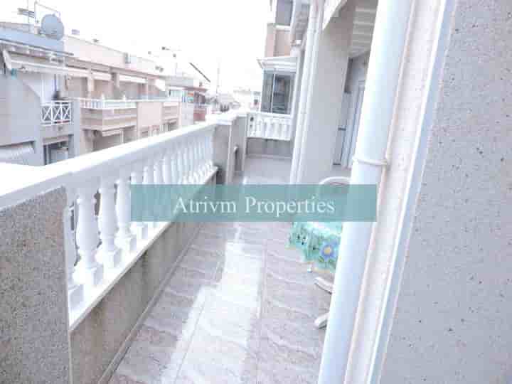 Apartment for rent in Torrevieja