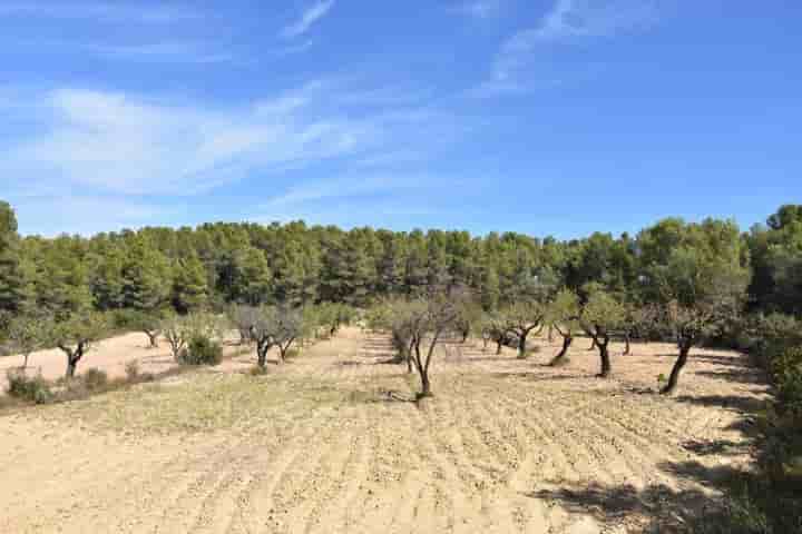 Casa in vendita a Arens de Lledó