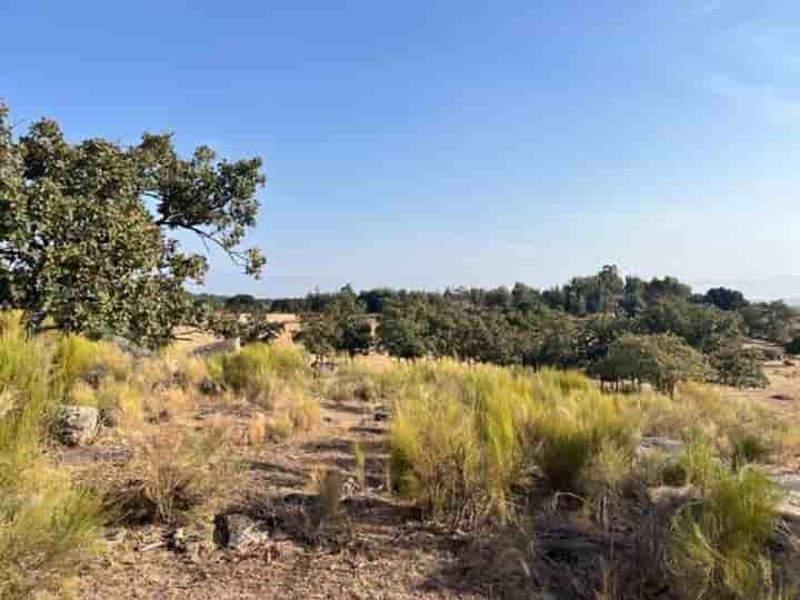 Hus till salu i Valencia de Alcántara