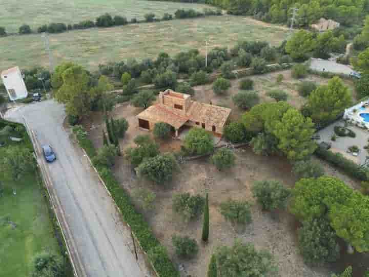 Maison à vendre à LAmetlla de Mar