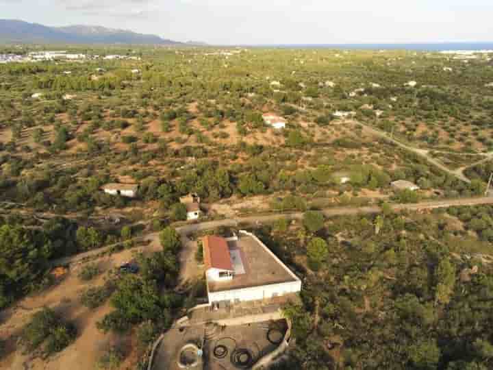 Casa en venta en LAmetlla de Mar