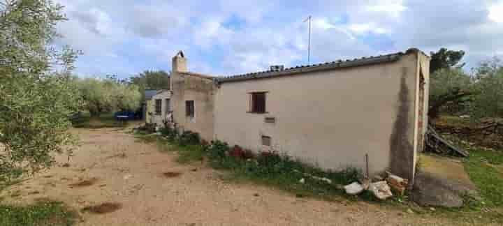 Maison à vendre à El Perelló