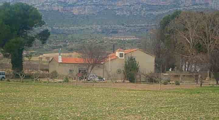 Maison à vendre à Almansa