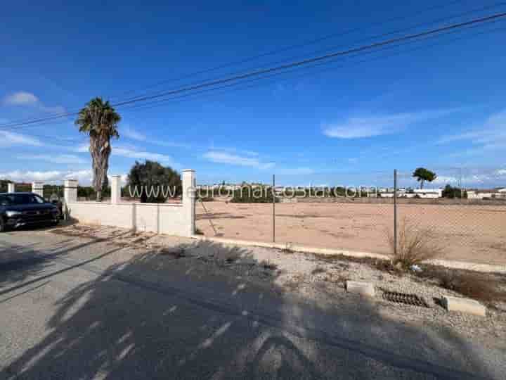 Другое для продажи в Guardamar del Segura