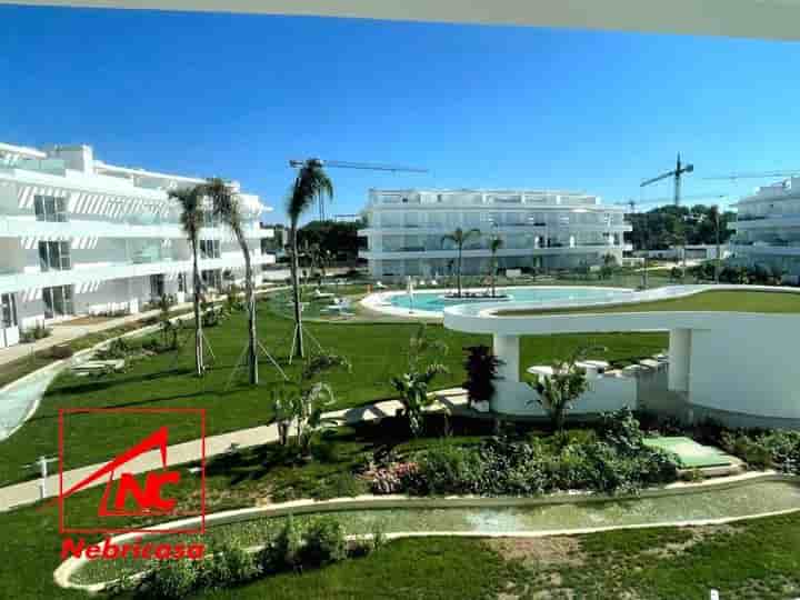 Apartment for rent in Las Tres Piedras - Costa Ballena