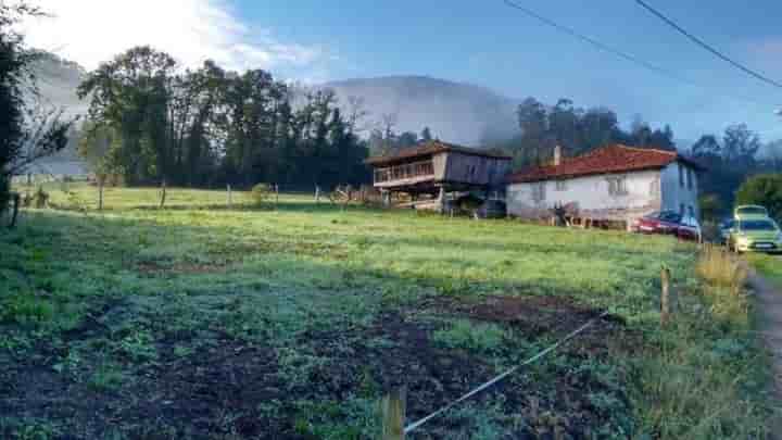 Casa in vendita a Pravia