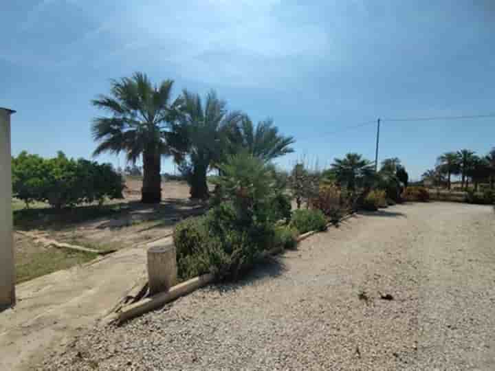 House for sale in Elche