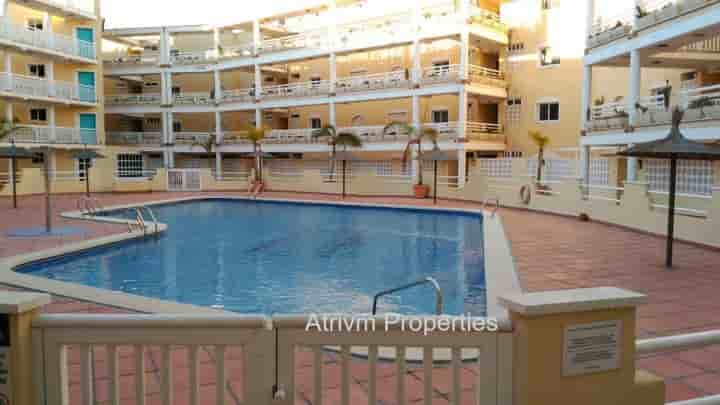 Appartement à louer à Aguamarina