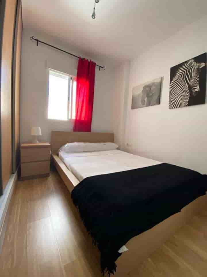 Wohnung zur Miete in San Matías-Realejo