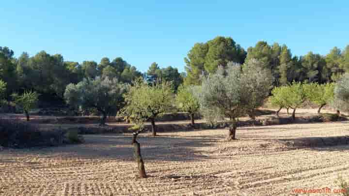 Casa in vendita a Mazaleón