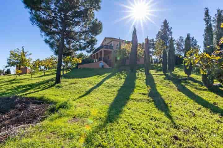 House for rent in Valtocado - La Alquería - La Atalaya