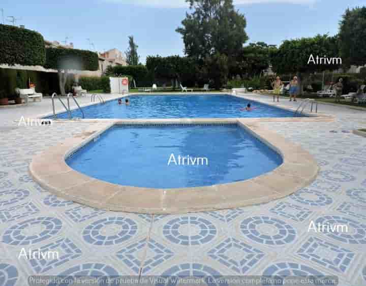 House for rent in Guardamar del Segura