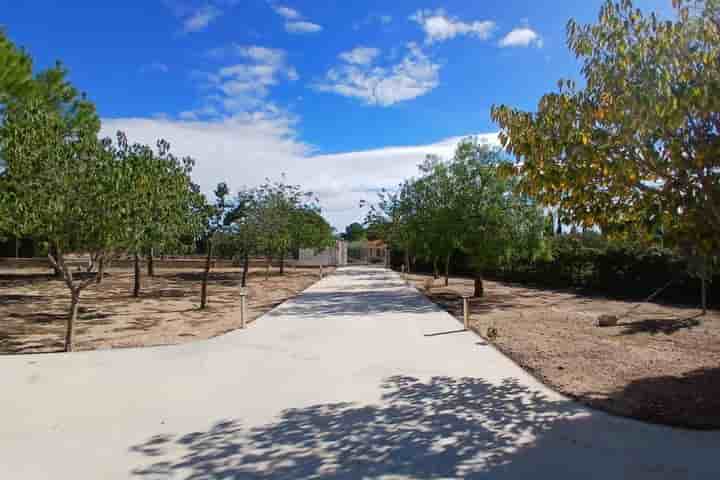 Casa in vendita a Yecla