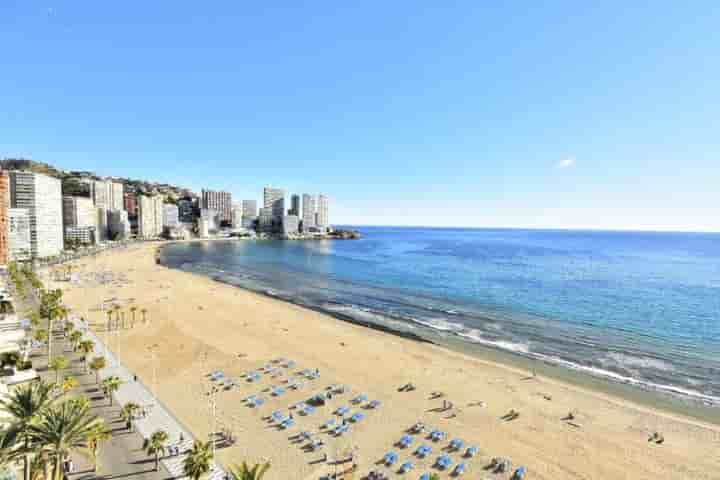 Дом для аренды в Benidorm