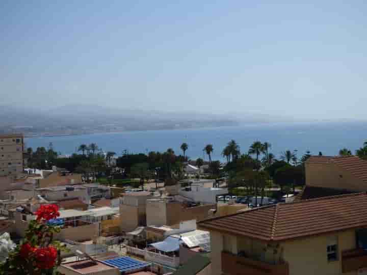 Apartment for rent in Poniente-Faro