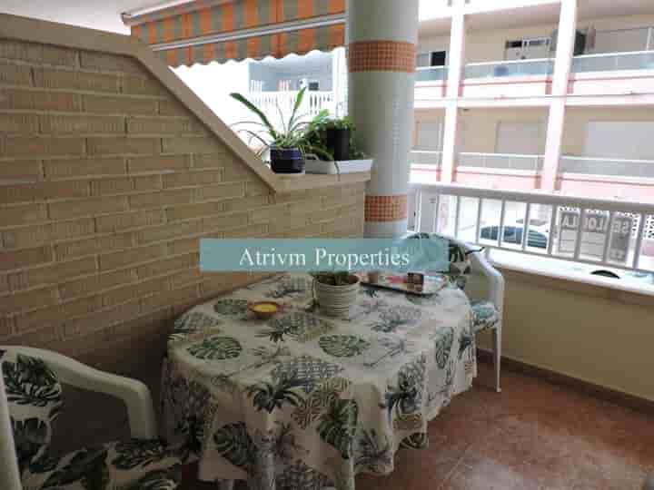 Apartment for rent in Guardamar del Segura