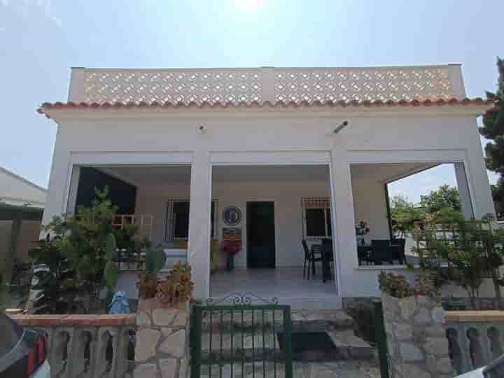 House for rent in Oliva pueblo