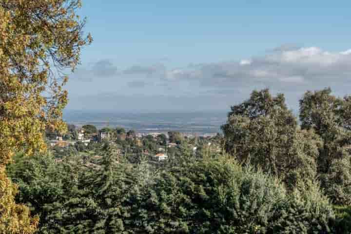 Maison à vendre à Villa del Prado