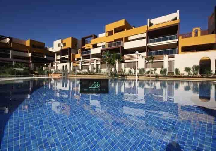 Apartamento en alquiler en Orihuela Costa