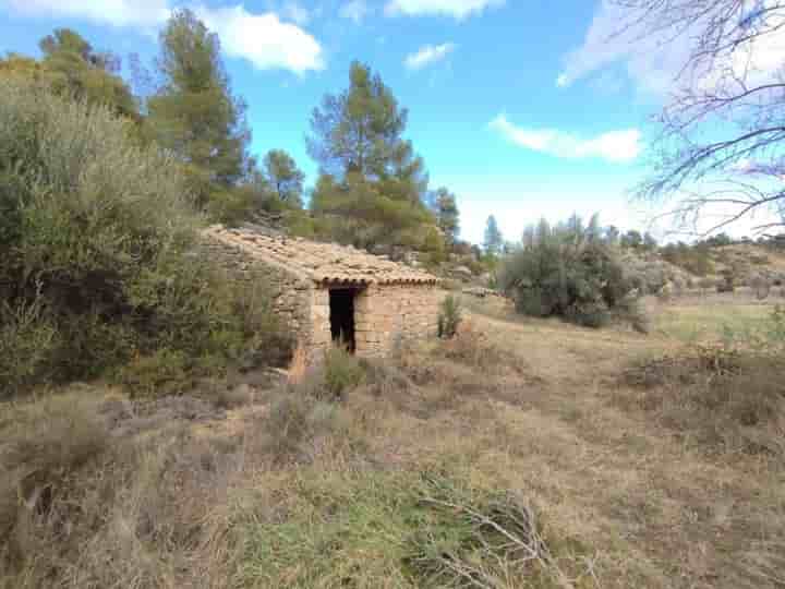 Haus zum Verkauf in La Fresneda