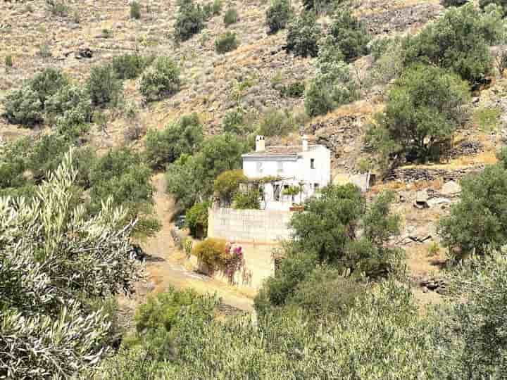 House for sale in Sayalonga