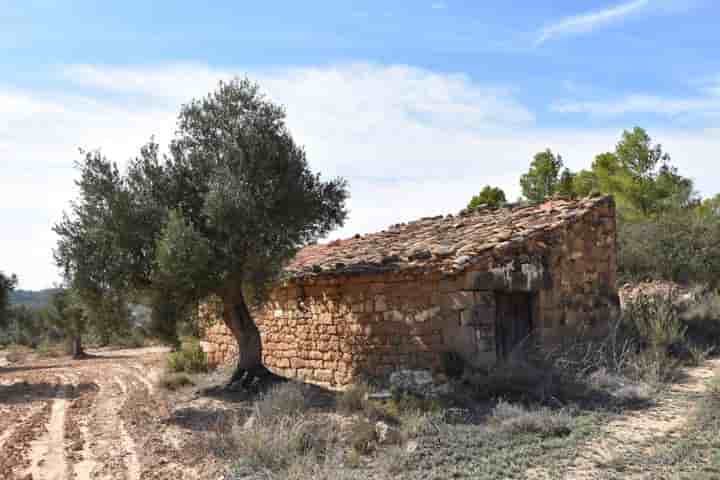 Haus zum Verkauf in Mazaleón