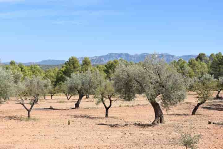 Casa en venta en Arens de Lledó