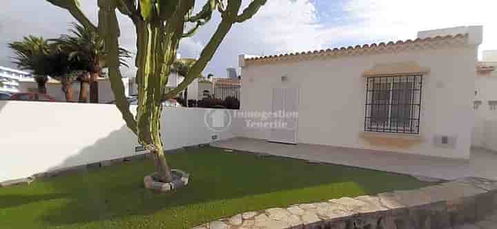 Apartment for rent in Golf del Sur-Amarilla Golf