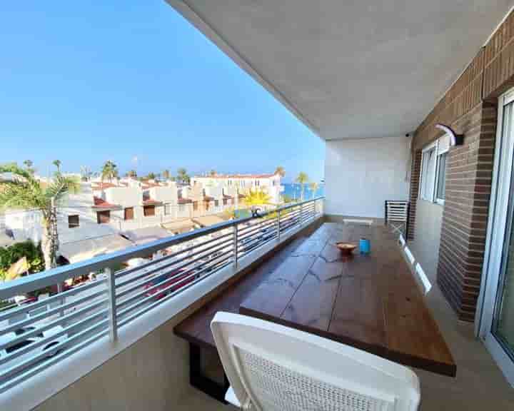 Apartment for rent in La Veleta