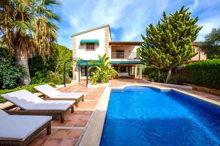 House for rent in Porto Cristo