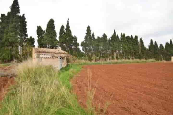 House for sale in Muro