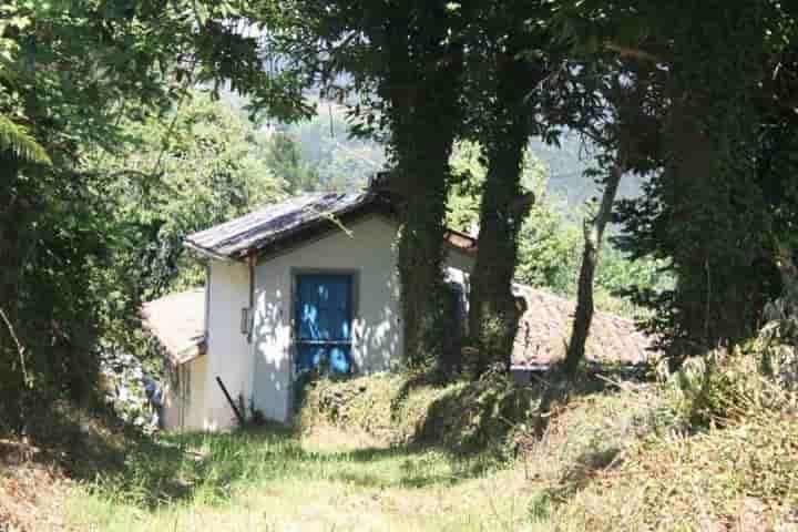 Maison à vendre à Salas