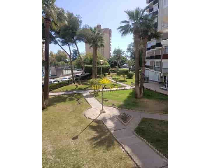 Apartamento en alquiler en Campoamor