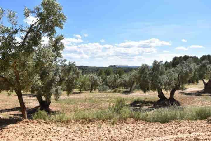 House for sale in Torre del Compte