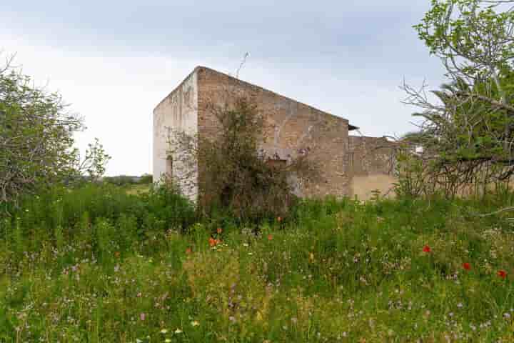 Haus zum Verkauf in Bonares