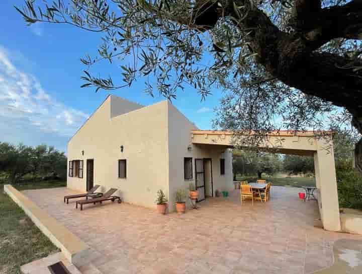 Maison à vendre à El Perelló