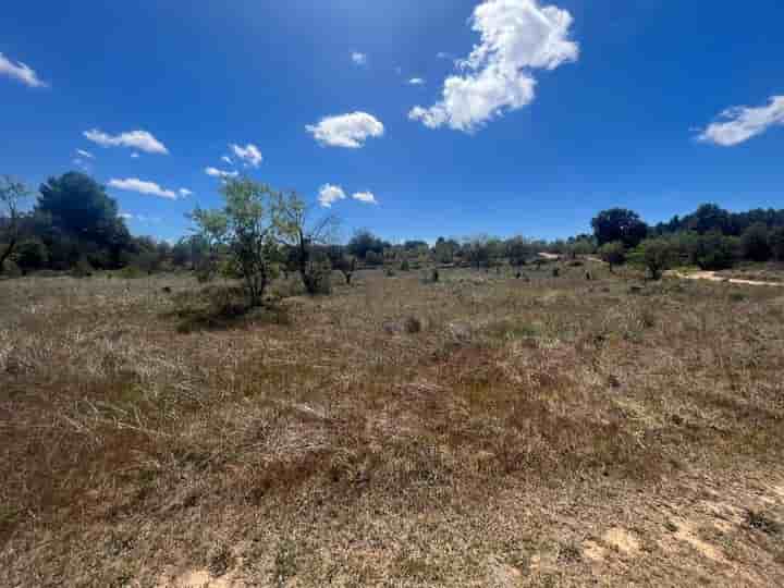 Casa en venta en Arens de Lledó