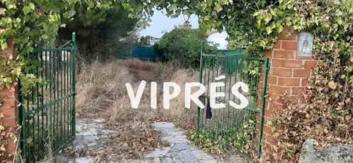 Casa para venda em Cáceres‎