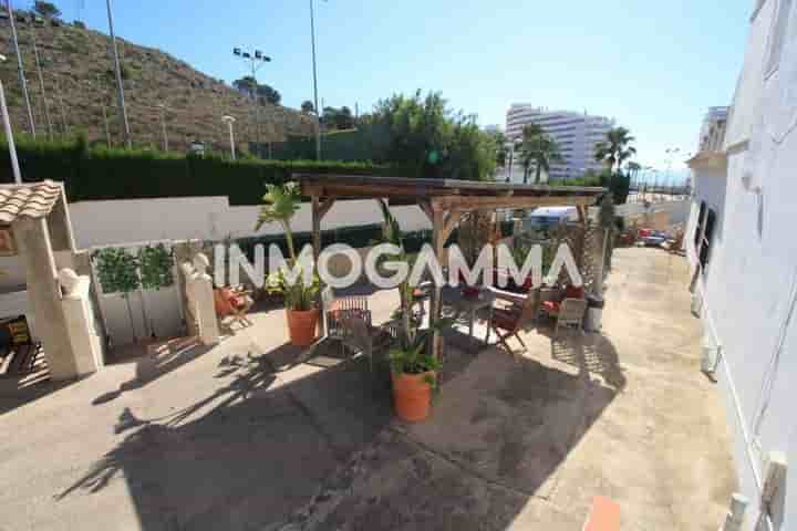 House for rent in Cullera