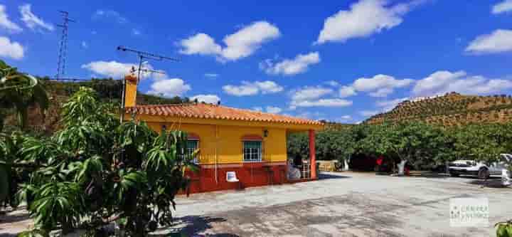 Casa para venda em Benamocarra