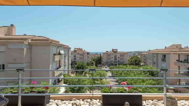 Appartement à vendre à Palmanova