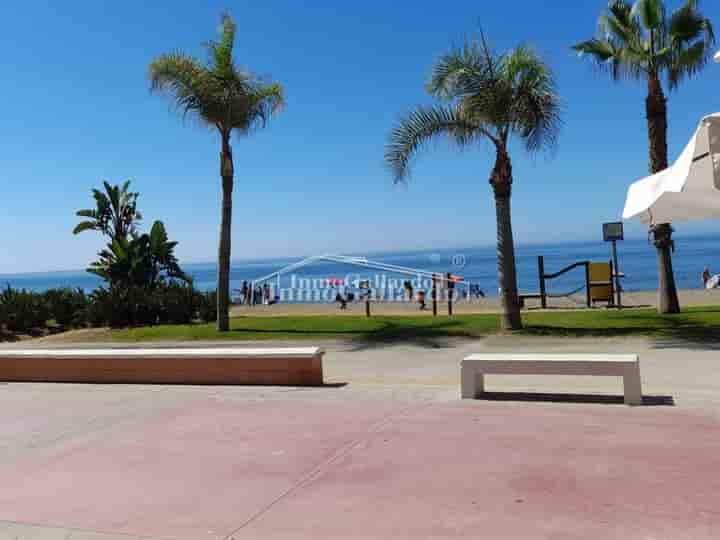 Apartment for rent in Playa del Rincón