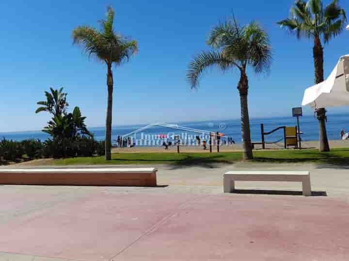 Apartamento en alquiler en Playa del Rincón