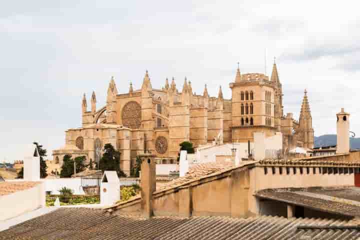 Casa en venta en La Seu - Cort - Monti-Sion