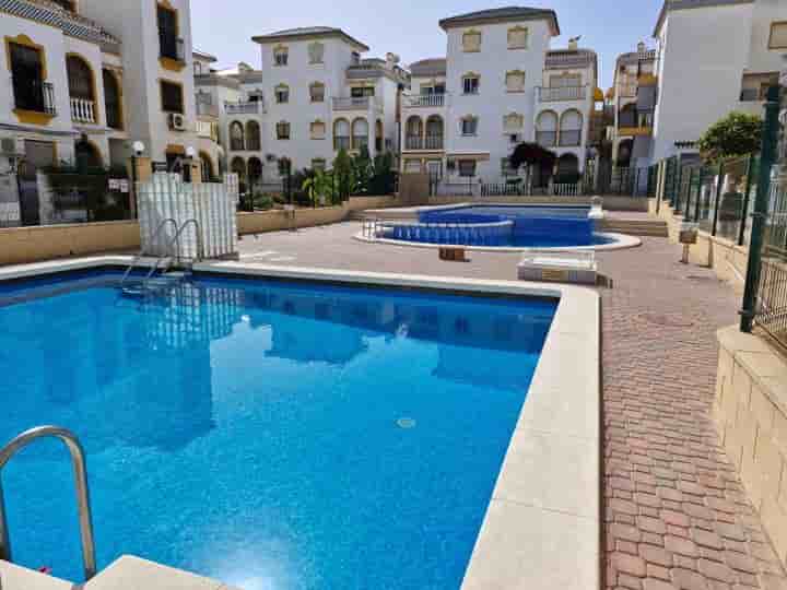 Apartamento en alquiler en Torrevieja