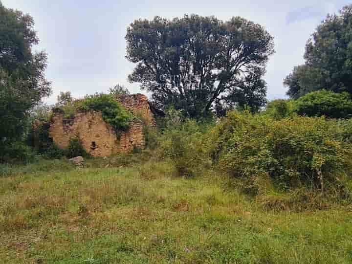 Casa para venda em Amer