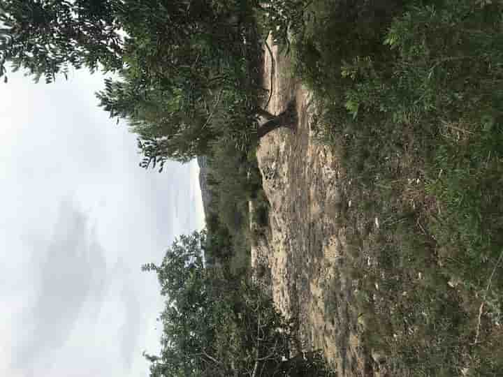 Casa para venda em El Perelló