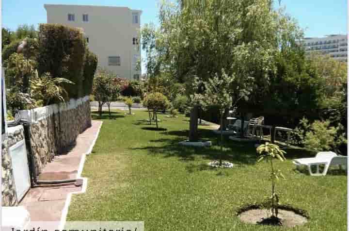 Apartamento en alquiler en Parque de la Paloma